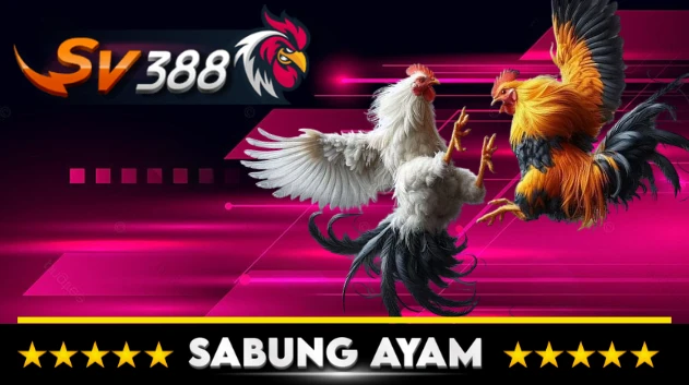 Sabung Ayam